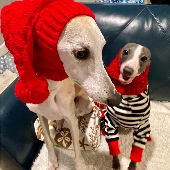 Meet your Posher, Denise - Picture 5 of 5